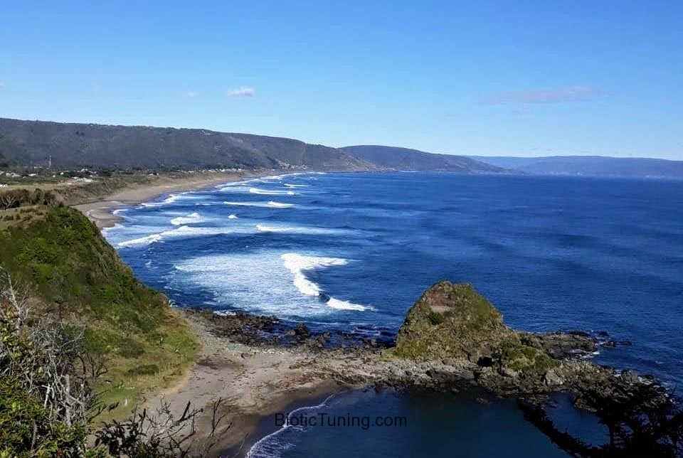 Playa Curiñanco desde la Reserva costera protegida